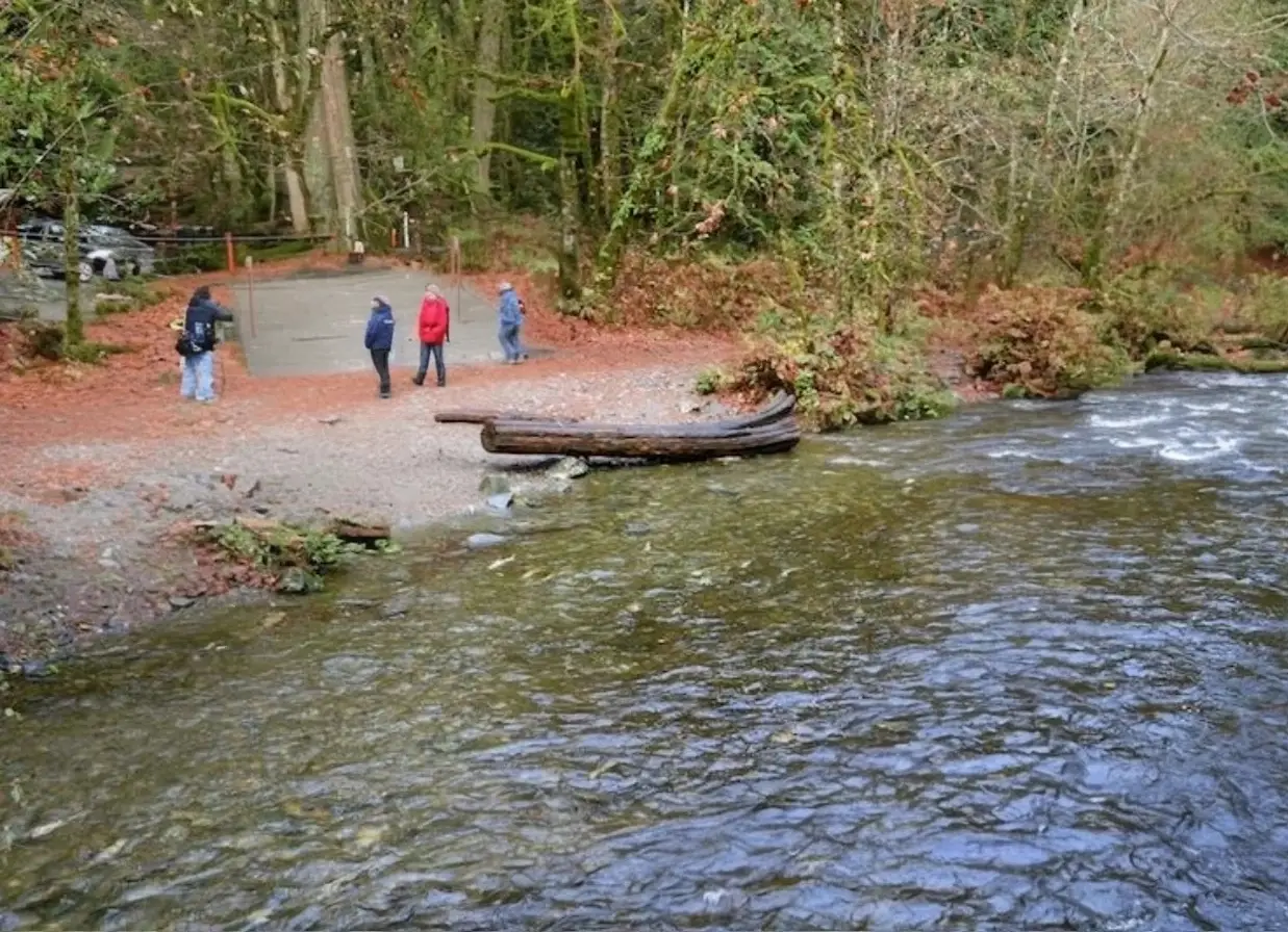Goldstream River